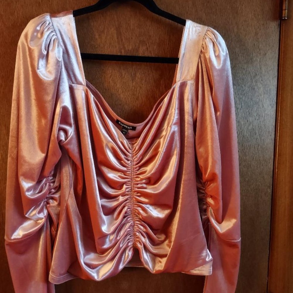 Express Velvet Ruched Top